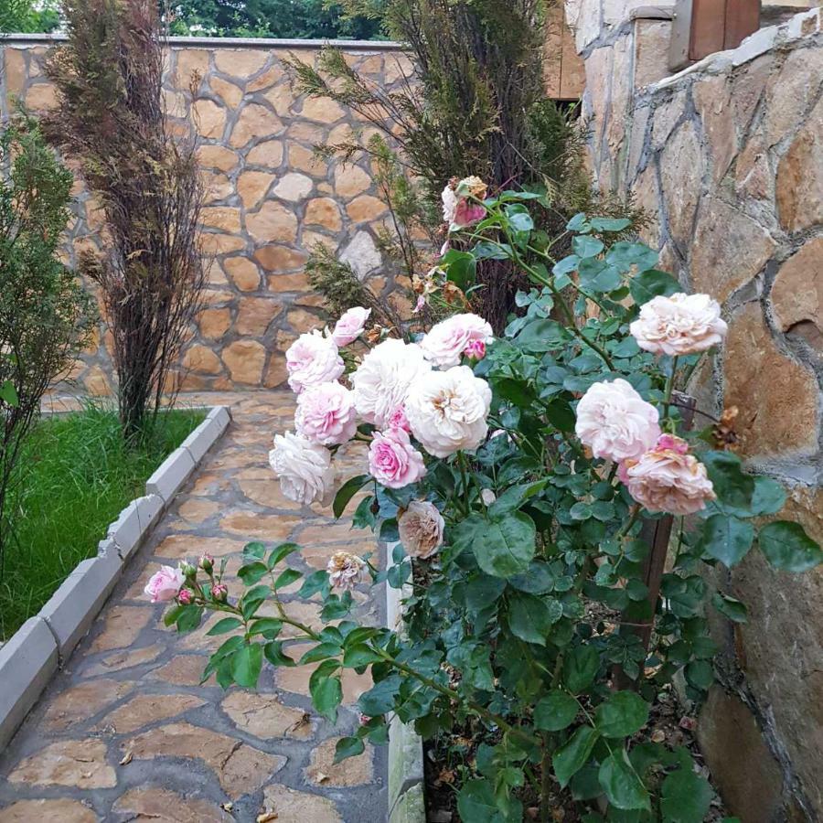 Apartment Little Paradise Visoko Bagian luar foto